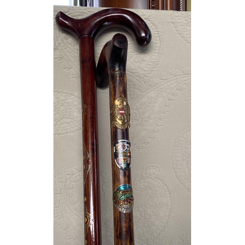 581 - x2 Wooden Walking Sticks - Alpenstock Covered with Mountain Hotels/Hostels of Austria and Another In... 
