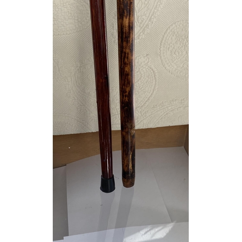 581 - x2 Wooden Walking Sticks - Alpenstock Covered with Mountain Hotels/Hostels of Austria and Another In... 