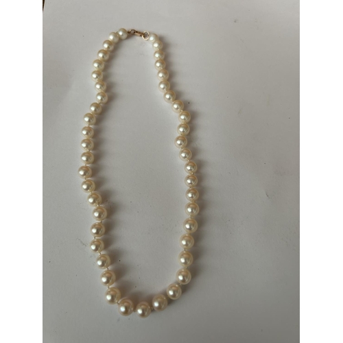 241 - Sea Pearl Necklace with 14k Gold Clasp