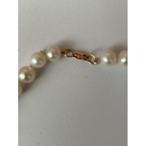 241 - Sea Pearl Necklace with 14k Gold Clasp