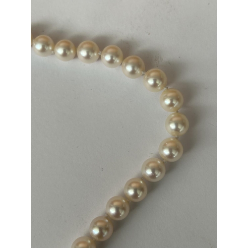 241 - Sea Pearl Necklace with 14k Gold Clasp