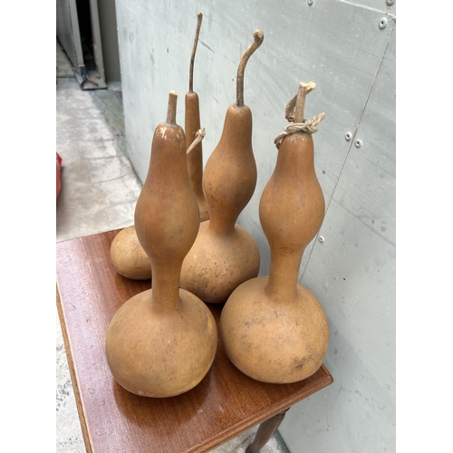 79 - Collection of 5 Cyprus Decorative Natural Pumpkin Gourds