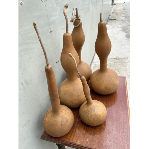 79 - Collection of 5 Cyprus Decorative Natural Pumpkin Gourds