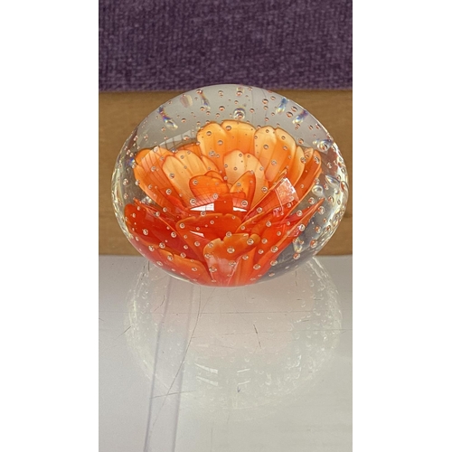 75 - x2 Glass Rose Controlled Bubbles Paper Weights