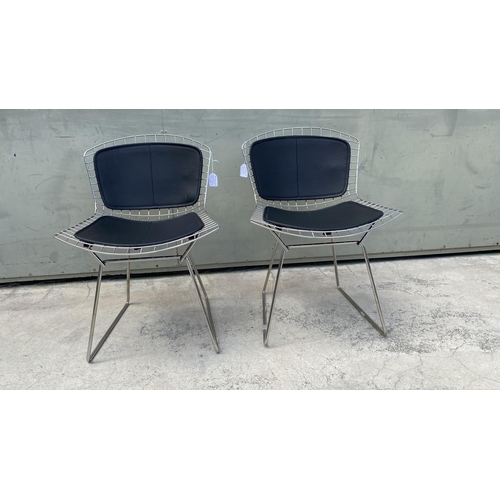 33 - Bertoia Wire Collection Side Chairs with Double Cushions ( Leather Seat Pad )