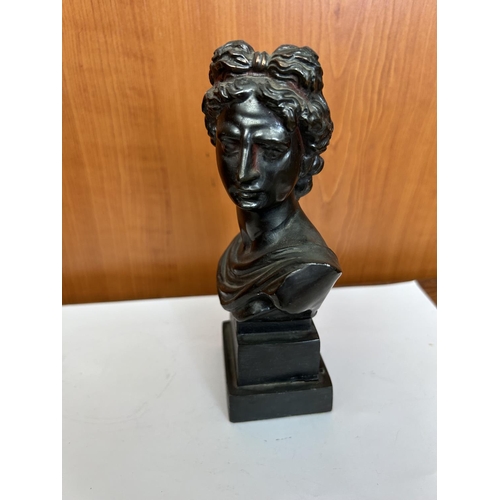 78 - Bronze Apollon Bust on Wooden Base