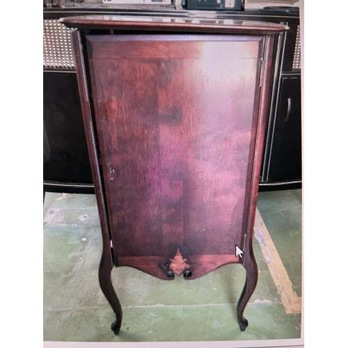 522 - Antique 1800's Mahogany Record Cabinet (Key Missing - 48 W. x 36 D. x 100cm H.)