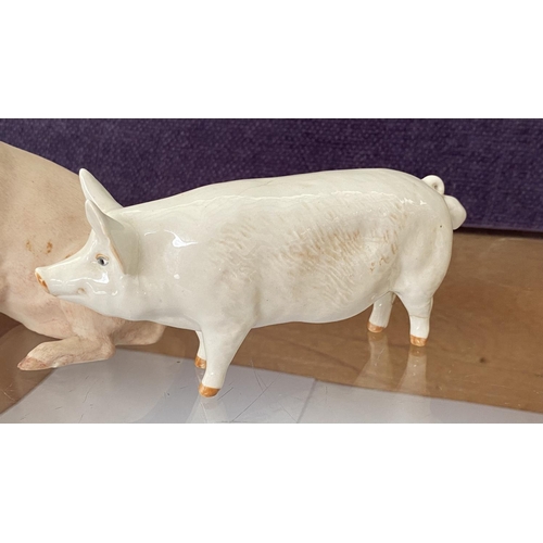 78 - Aynsley Fine Porcelain 1975 Piggy by John Aynsley (A/F - Missing top of Right Ear) and Vintage Beswi... 