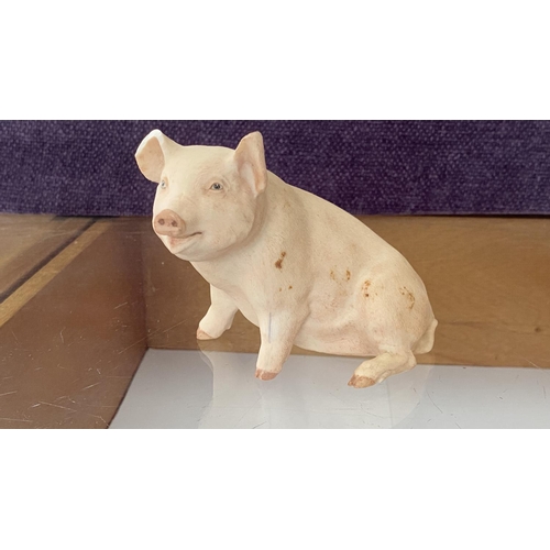 78 - Aynsley Fine Porcelain 1975 Piggy by John Aynsley (A/F - Missing top of Right Ear) and Vintage Beswi... 