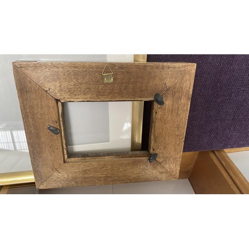 41 - x2 Picture Frames (Unused)