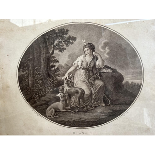 301 - Antique Diana Gravure Dated 1788 (46 x 37cm)