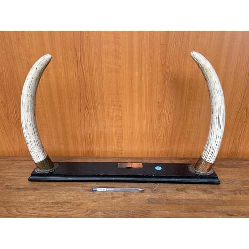 27 - Vintage Decorative Horn Set on Wooden Stand