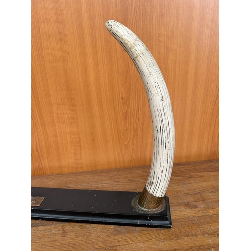 27 - Vintage Decorative Horn Set on Wooden Stand