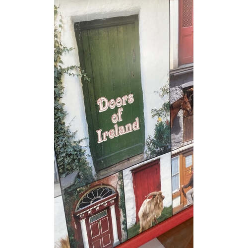 309 - Doors of Ireland Large Poster with Colorful Various Designs Doors (58 x 90cm)