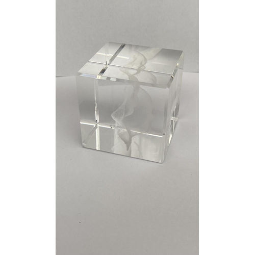 119 - x3 Crystal Glass 3D Laser Engraved Paperweights