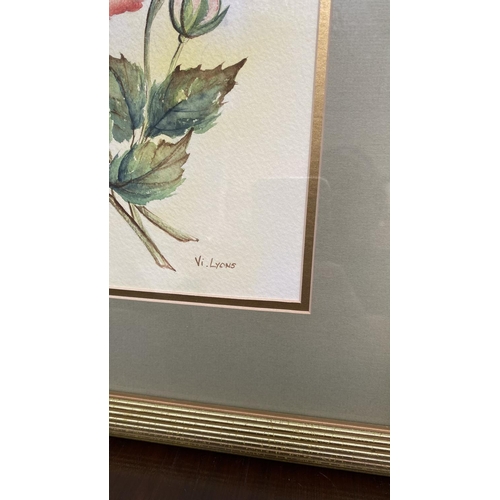 76 - x2 Original Unique Water Color Paintings Depicting Roses with Lovely Golden Frame Signed 'Vi Lyons' ... 