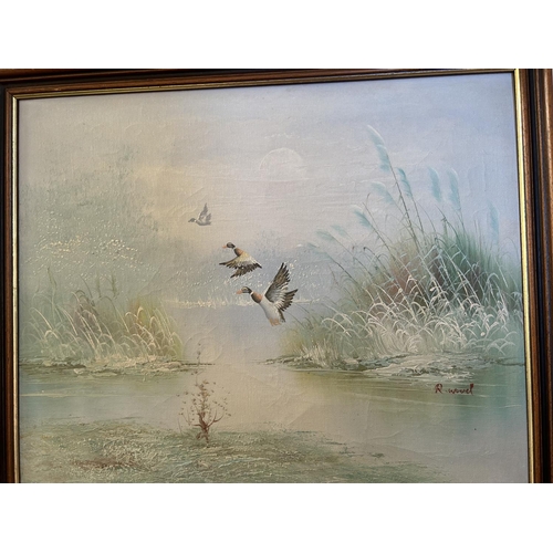 471 - Vintage Oil on Canvas Painting Depicting Duck and Lake Scenery, Signed (55 x  46cm)