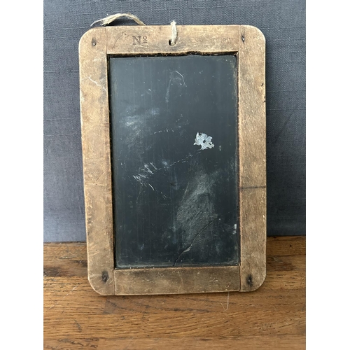 Lot 443       