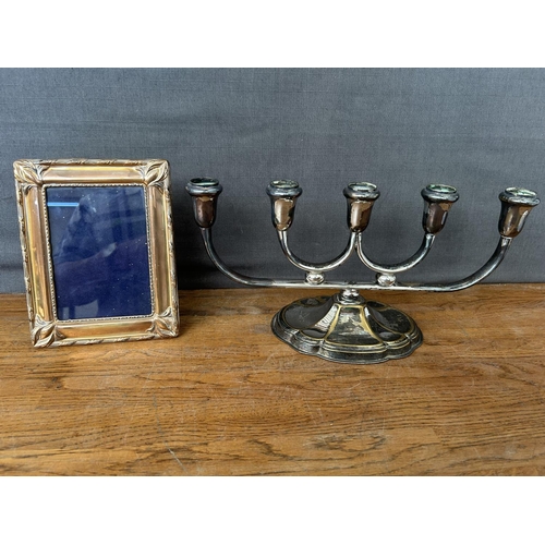 Lot 279       