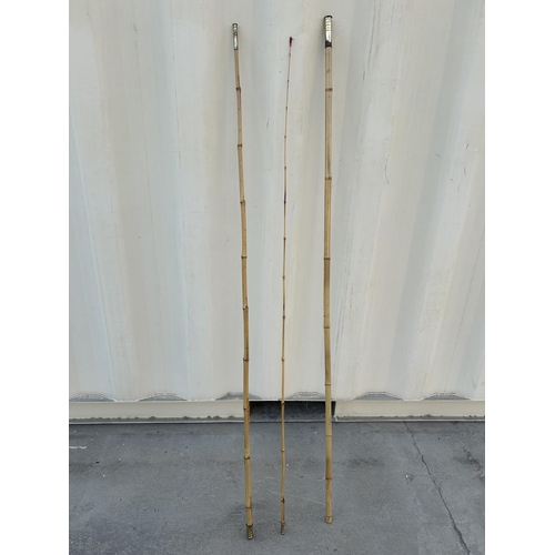 171 - Japanese Bamboo Fishing Rod - Taken Back 25/11/2025