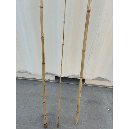 171 - Japanese Bamboo Fishing Rod - Taken Back 25/11/2025