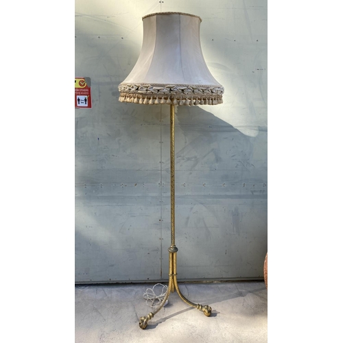 251 - Vintage French Louis Style Floor Lamp with Claw & Ball Feet and Shade