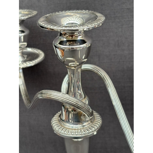 2 - Pair of Beautiful Tall Sterling Silver 3-Arm Candelabras with Intertwined Arm Design (Excellent Cond... 