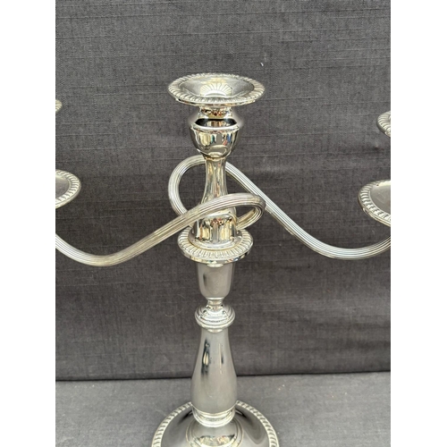 2 - Pair of Beautiful Tall Sterling Silver 3-Arm Candelabras with Intertwined Arm Design (Excellent Cond... 