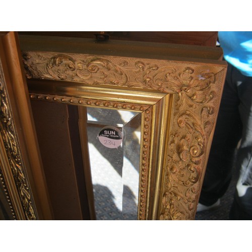 223 - A large Gilt Framed Mirror 38