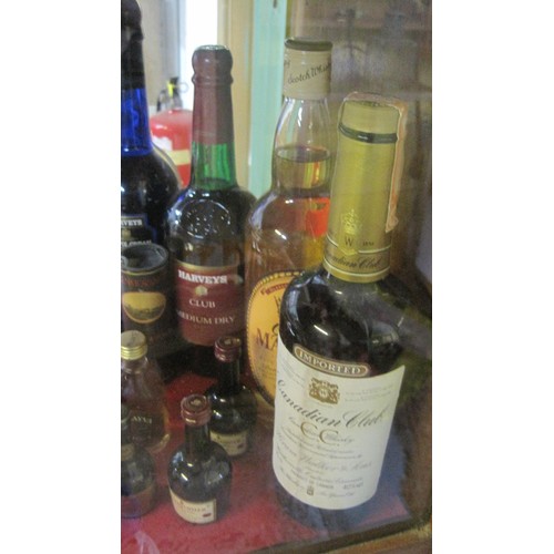 197 - Various bottles of alcohol including miniatures