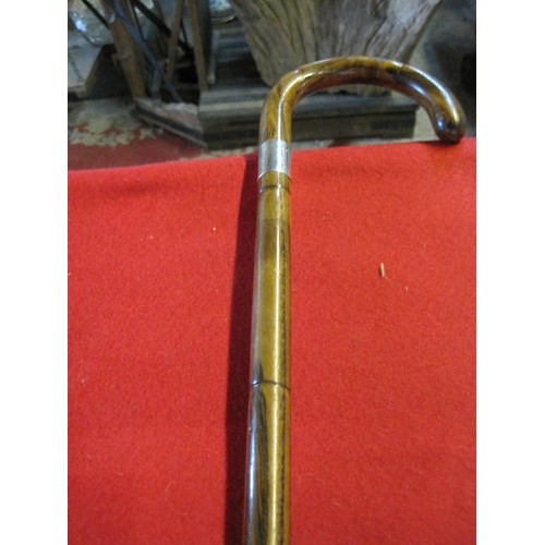 251 - A silver banded walking stick