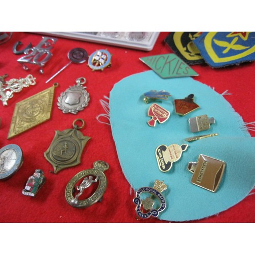 246 - A job lot of various badges including silver and enamel, various subjects: military, advertising, et... 