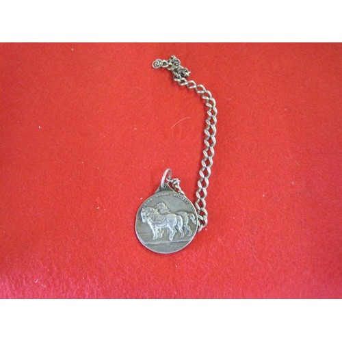 181 - Silver shire horse medallion on silver chain