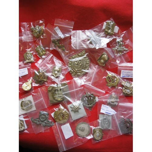 131 - A tub of military cap badges including WW1  (Dorsetshire Regiment, Royal West Kents & more) plus a f... 