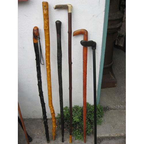 201 - A bundle of 6 vintage walking sticks in good order including a bone handled and carved examples