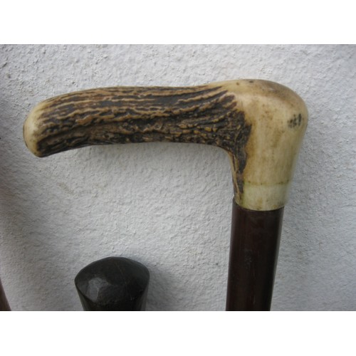 201 - A bundle of 6 vintage walking sticks in good order including a bone handled and carved examples