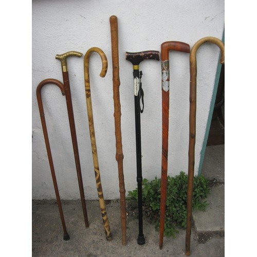 202 - A bundle of vintage walking sticks in good order including a brass handled cane