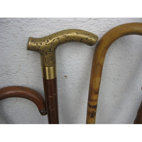 202 - A bundle of vintage walking sticks in good order including a brass handled cane