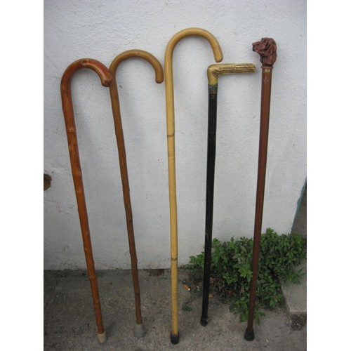 202A - A bundle of walking sticks including a bone handled example and one with a handle in the shape of a ... 