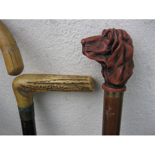 202A - A bundle of walking sticks including a bone handled example and one with a handle in the shape of a ... 