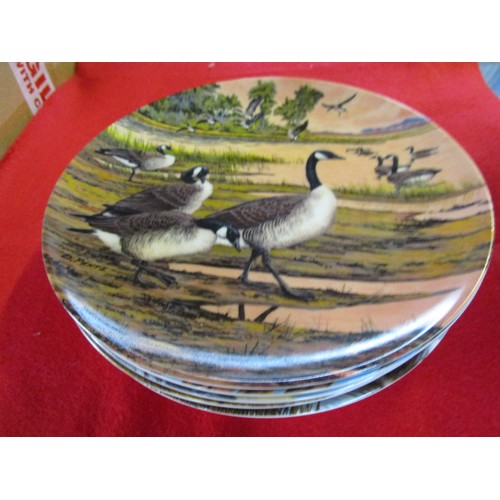 41 - A number of picture plates featuring birds