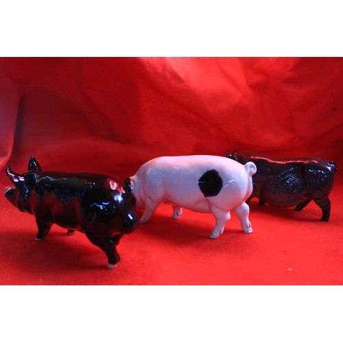 81 - 3 Beswick Pigs in good order comprising #DA189 Vietnamese Pot Belly, Berkshire Boar #4118 and Glouce... 