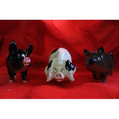 81 - 3 Beswick Pigs in good order comprising #DA189 Vietnamese Pot Belly, Berkshire Boar #4118 and Glouce... 