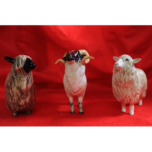 42 - A Beswick Rare Breeds  Boreray Sheep in box #4124, a Beswick Cotswold Sheep in box #4122 and a Beswi... 