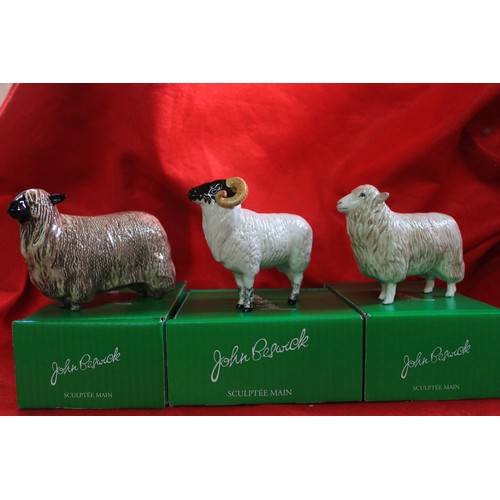 42 - A Beswick Rare Breeds  Boreray Sheep in box #4124, a Beswick Cotswold Sheep in box #4122 and a Beswi... 