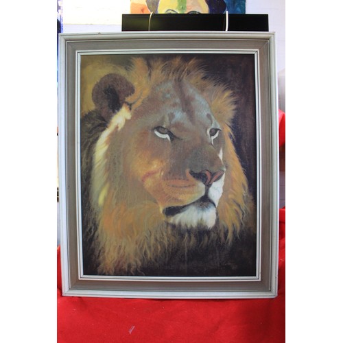 7 - Large lion and tiger pictures