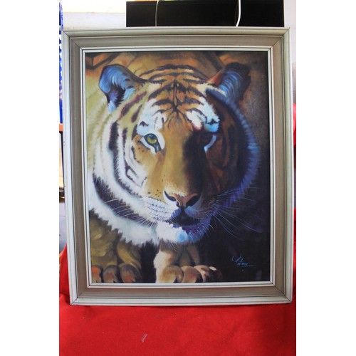 7 - Large lion and tiger pictures