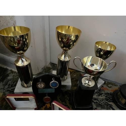 48 - Selection of dance trophies and medals