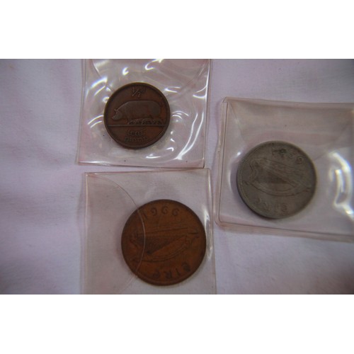 103 - 19 Irish coins