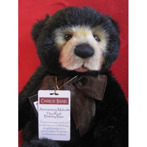 250 - Charlie Anniversary Bear 'Malcom' with tags